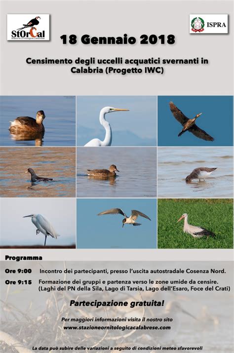 censimento iwc degli uccelli acquatici svernanti in lombardia 2019|Le popolazioni di uccelli acquatici svernanti in Lombardia, 2019.